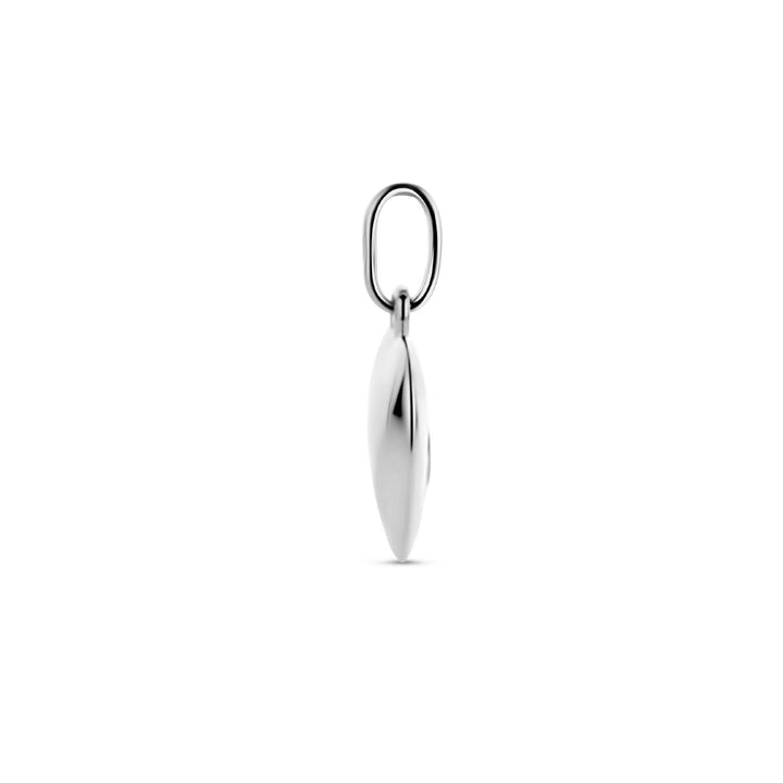 hanger hart en hondenpoot zirkonia zilver gerhodineerd