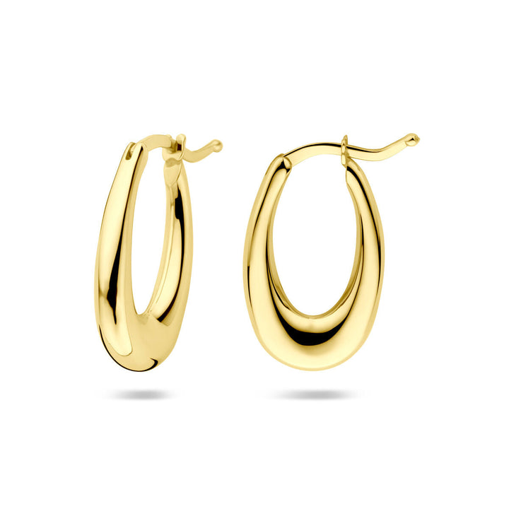 Een paar glanzende, ovaalvormige oorringen 14K geelgoud van Van der Kooij Collectie met scharniersluiting, afgebeeld op een effen witte achtergrond.