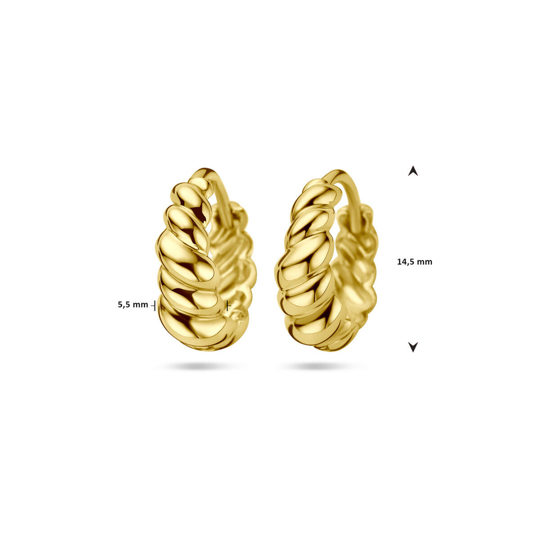 klapoorringen 14K geelgoud