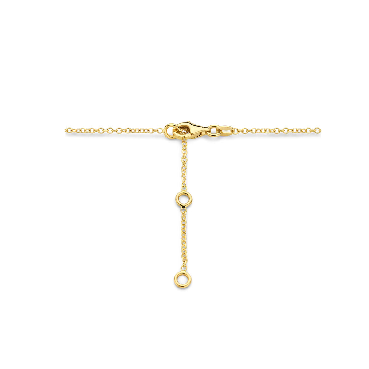 De Van der Kooij Collectie Gouden dames ketting natuurlijke kleurstenen 14K heeft een luxe geelgouden ketting met natuurlijke stenen en verstelbare maat - een perfecte dames sieraad voor elke gelegenheid, prachtig weergegeven op een witte achtergrond.