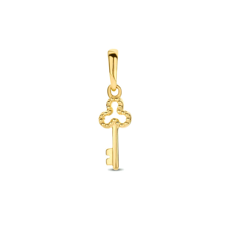 hanger sleutel 14K geelgoud
