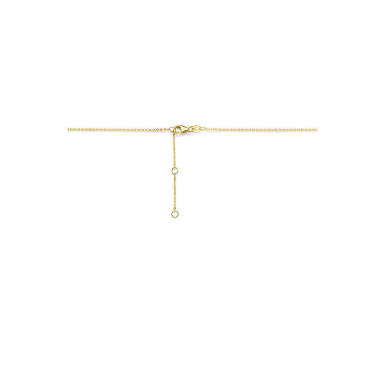 collier diamant 0.03ct h si 41 - 43 - 45 cm 14K bicolor goud geel/wit