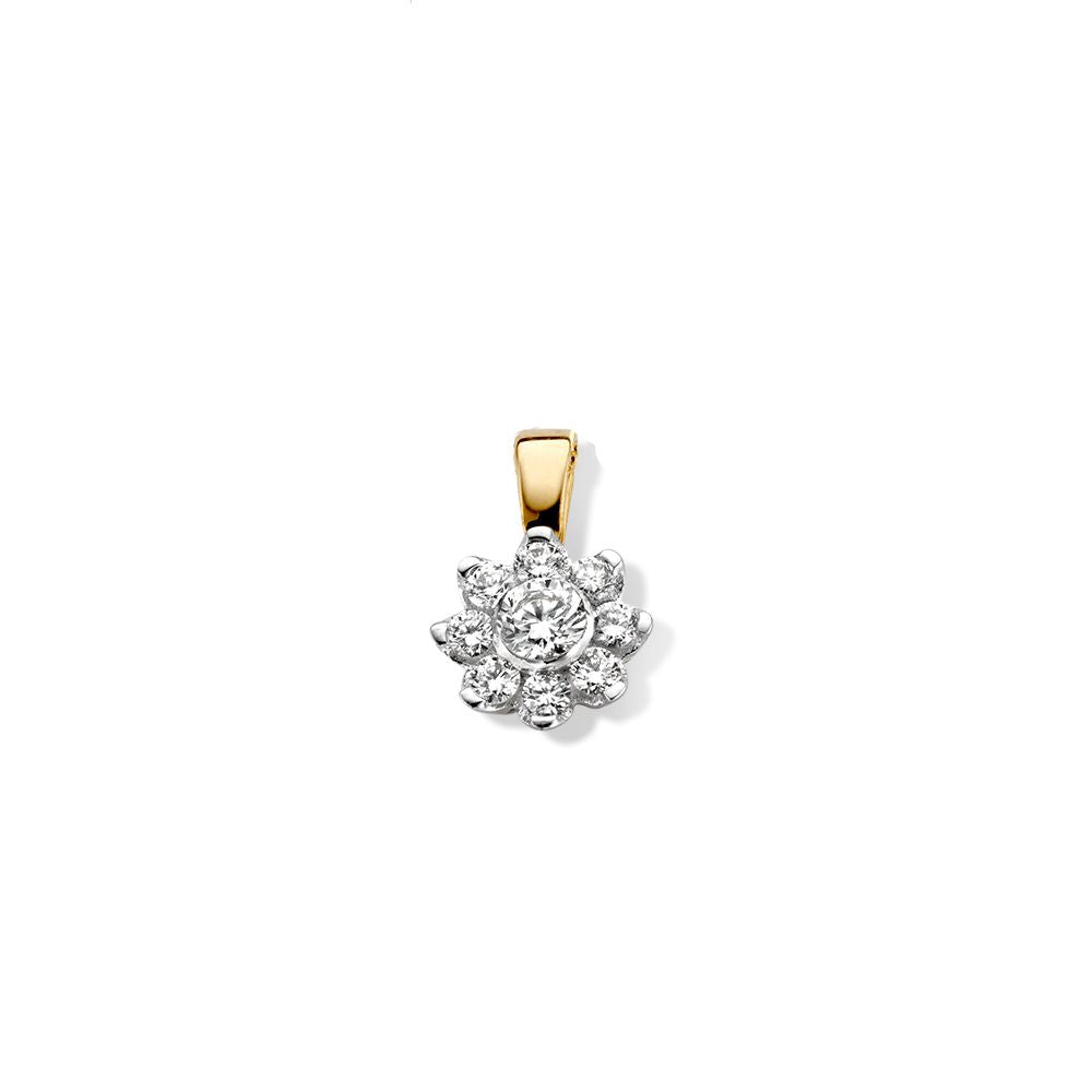 Geelgouden entourage hanger met een bloemvormige zetting van briljant diamanten, 14 karaat, 0,21 crt.