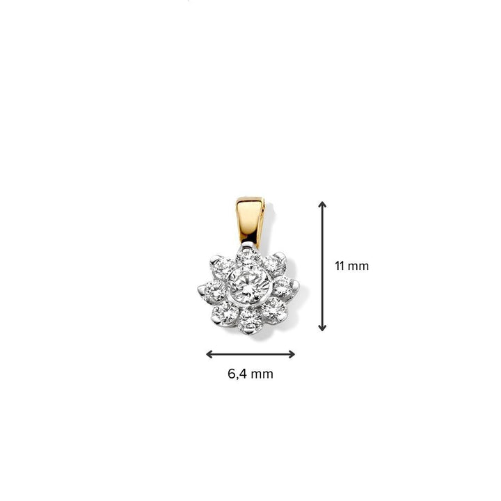 Geelgouden entourage hanger met briljant diamant - 14 karaat - 0,21 crt diamant