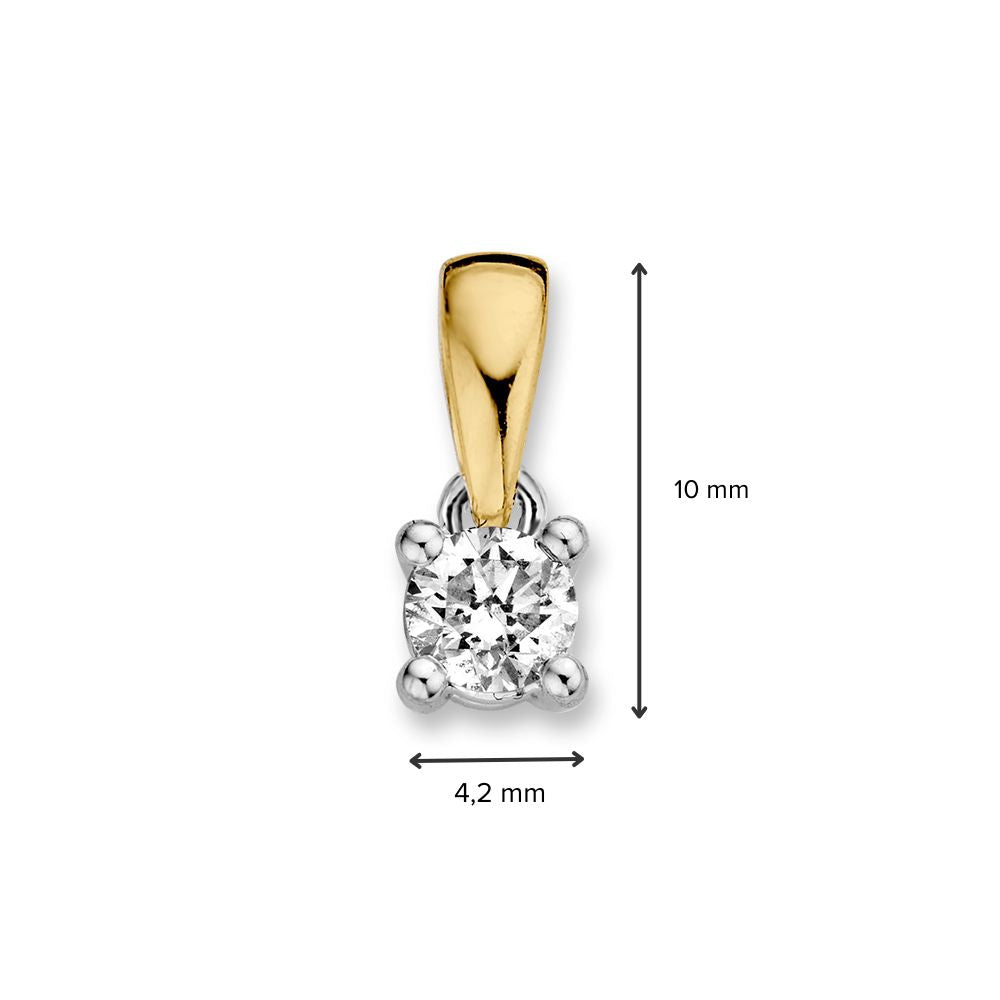 De Bicolor gouden solitair hanger van Excellent Jewelry is gemaakt van 14 karaat goud en heeft een briljant geslepen diamant (0,30 crt) in vierpootszetting. De hanger voldoet aan 10 mm hoog en 4,2 mm breed.