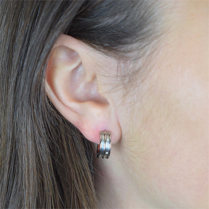 Boccia Titanium Earrings dia 6/0.03 - 05047-02