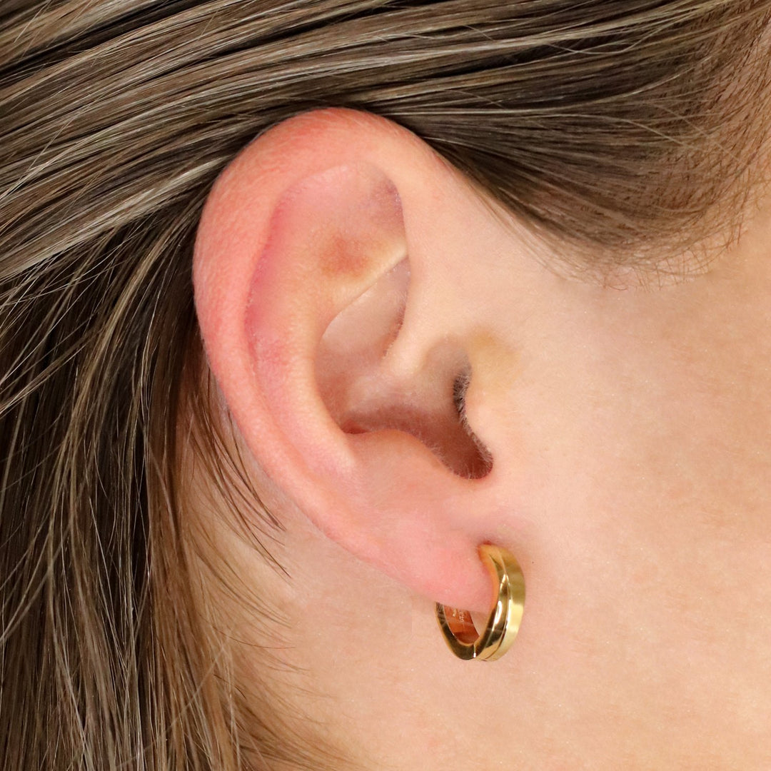 Boccia Titanium Earrings gp 0563-06