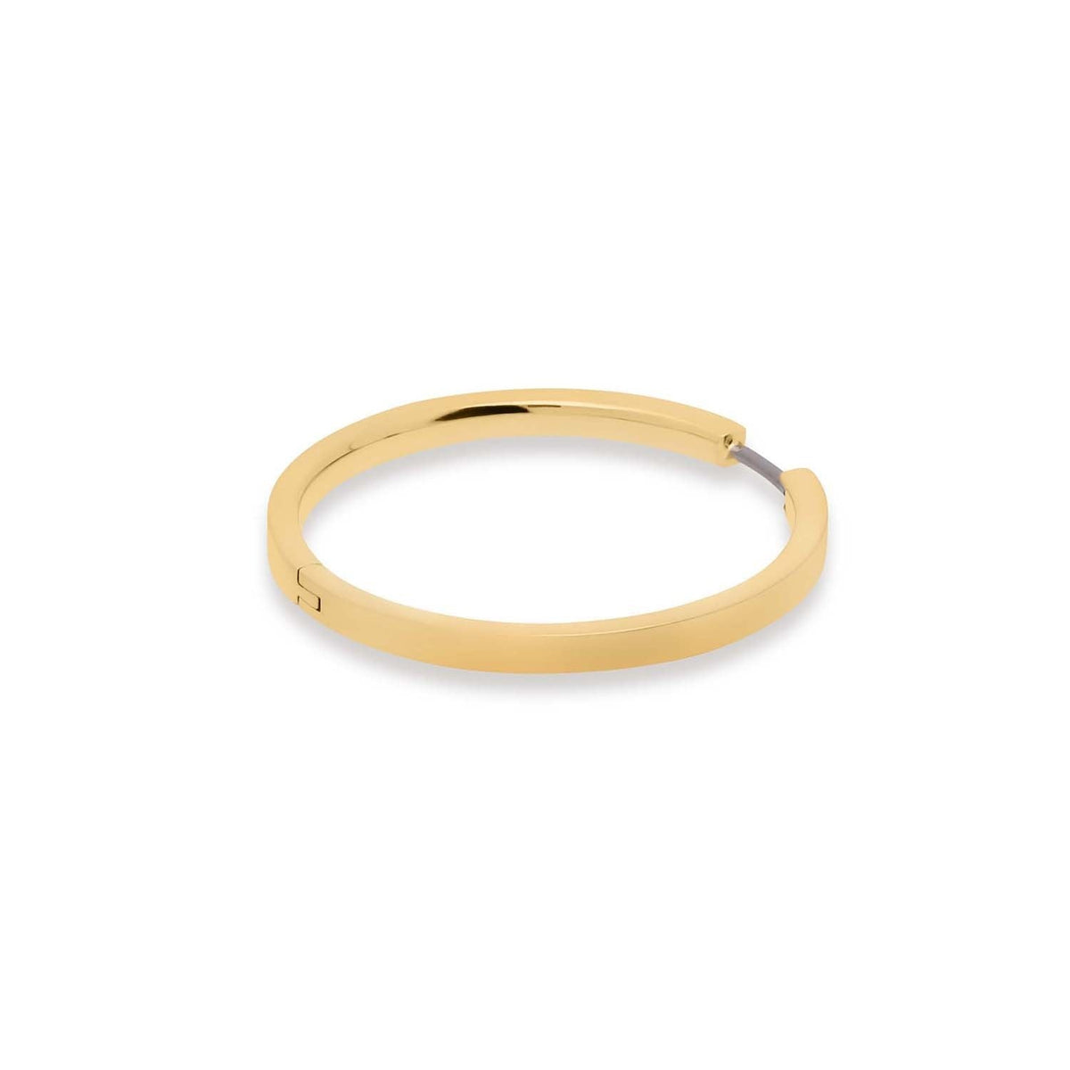 Gouden titanium oorringen met een strakke, ronde vorm en een glanzende afwerking.