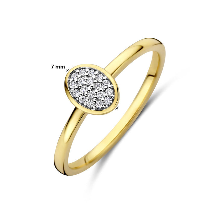 14k Geelgouden ring met diamant