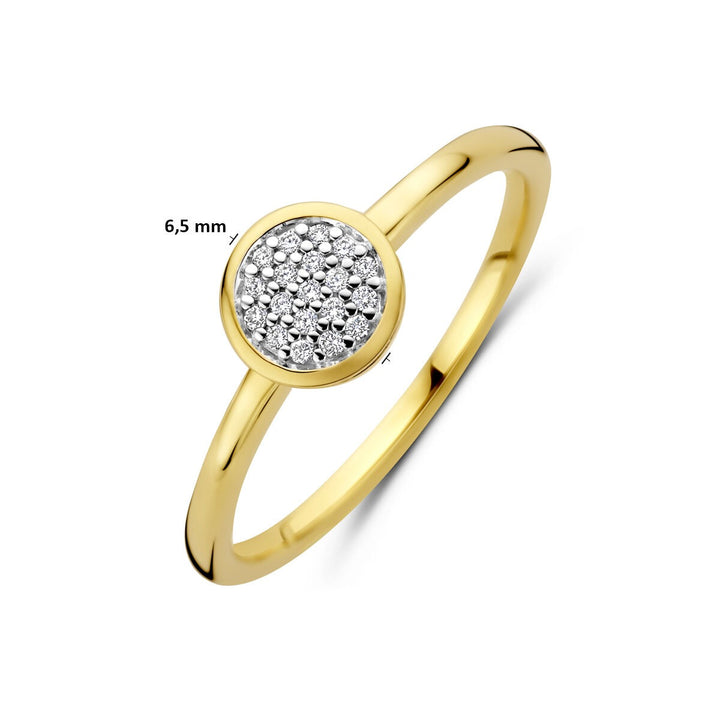 14k Geelgouden ring met diamant