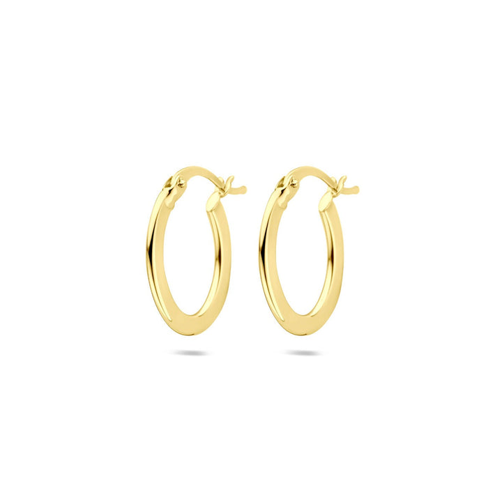 14k Geelgouden Oorringen