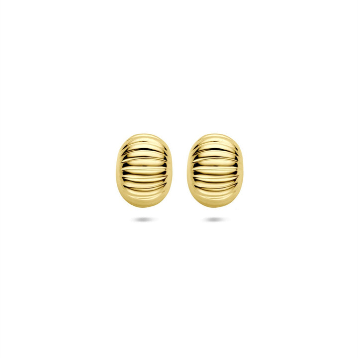 14k Geelgouden dames oorknoppen 10 mm