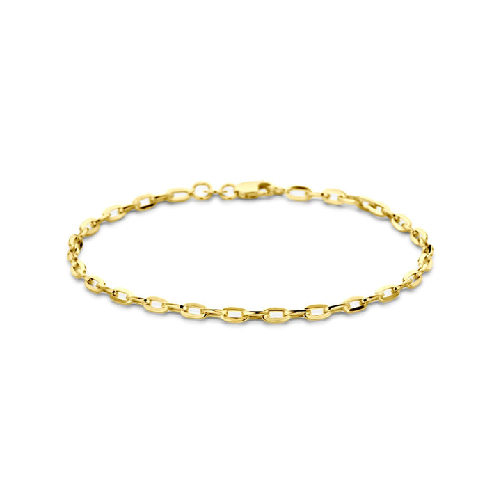 14k Geelgouden anker armband