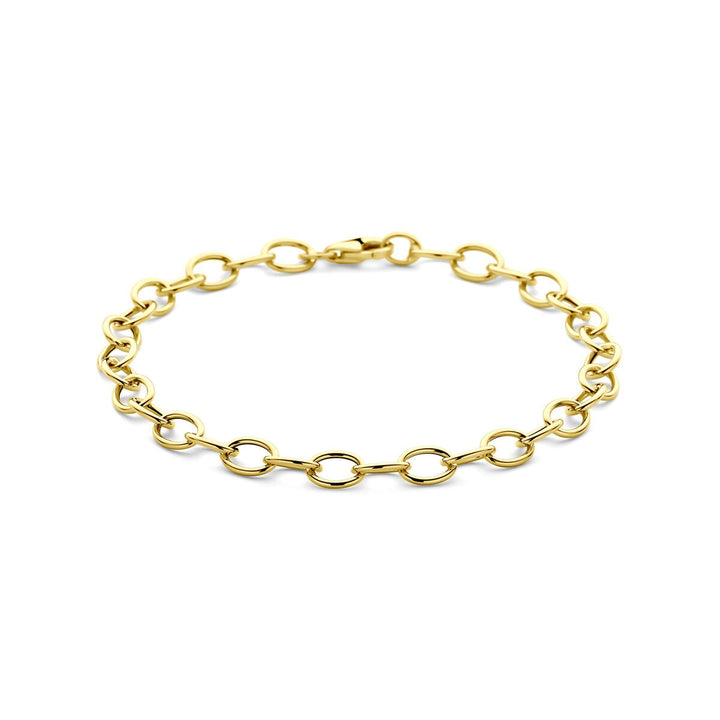 14k Geelgouden anker schakelarmband dames