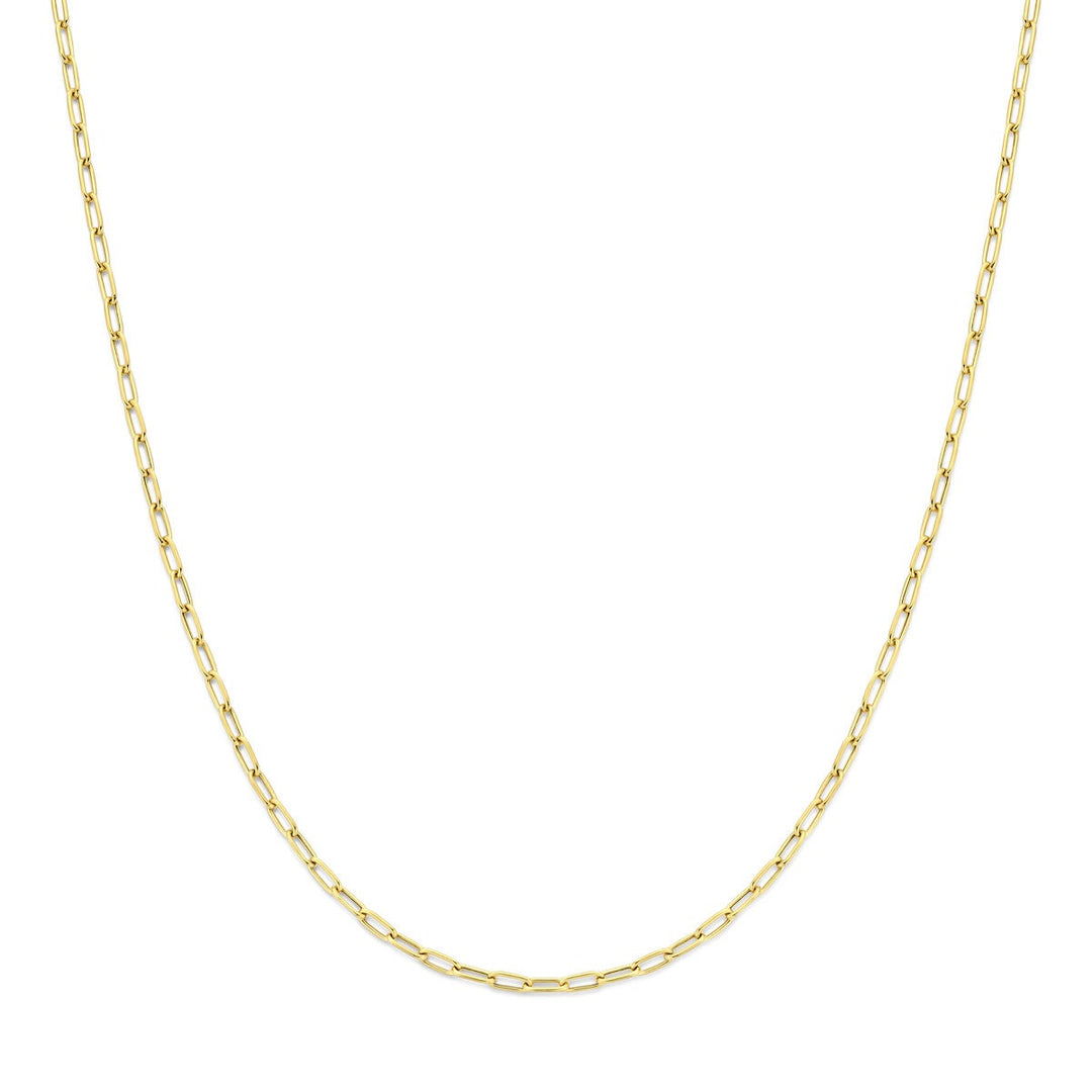 14k Geelgouden Schakel Ketting Anker