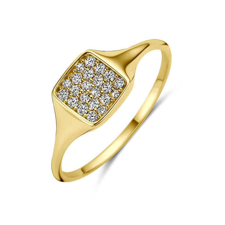 14k Geelgouden ring met zirkonia