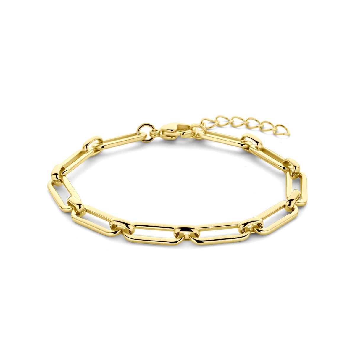 Stalen dames armband met goudkleurige plating, schakels en een verlengkettinkje.