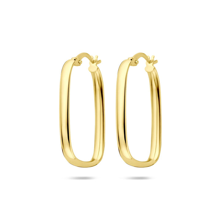 14k Geelgouden Oorringen