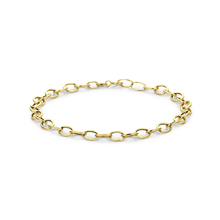 14k geelgouden armband met ankerschakel