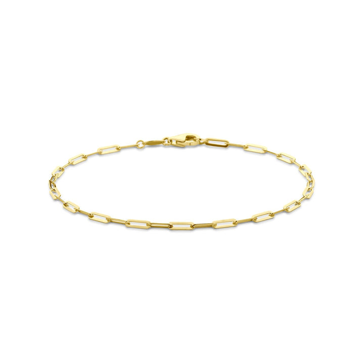 9k Geelgouden anker armband met fijne schakel