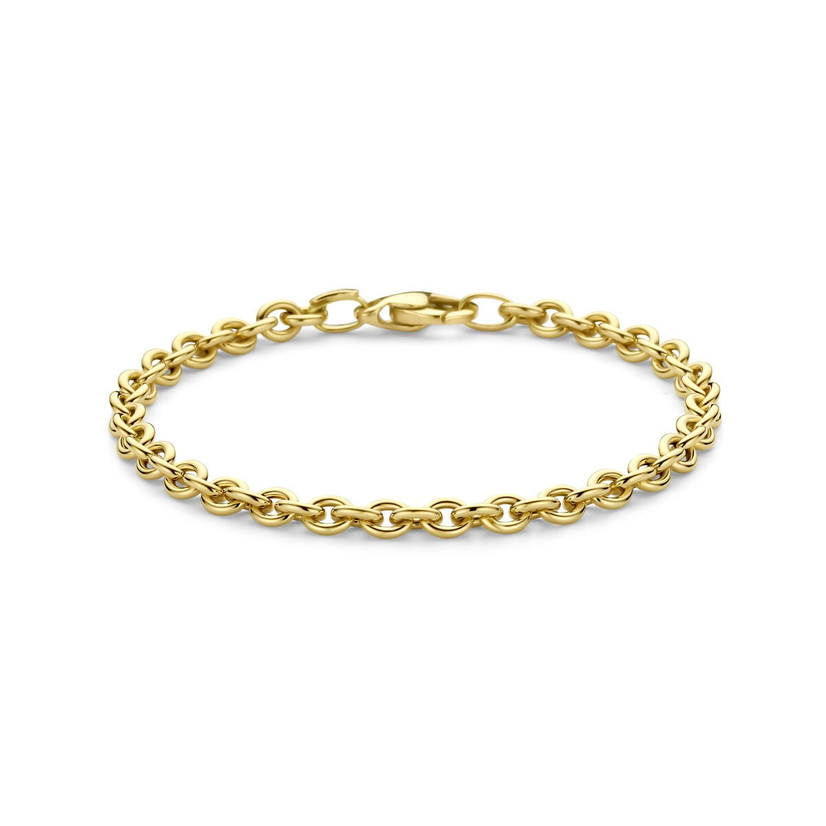 Geelgouden schakelarmband met ankerdesign en een stevige sluiting.
