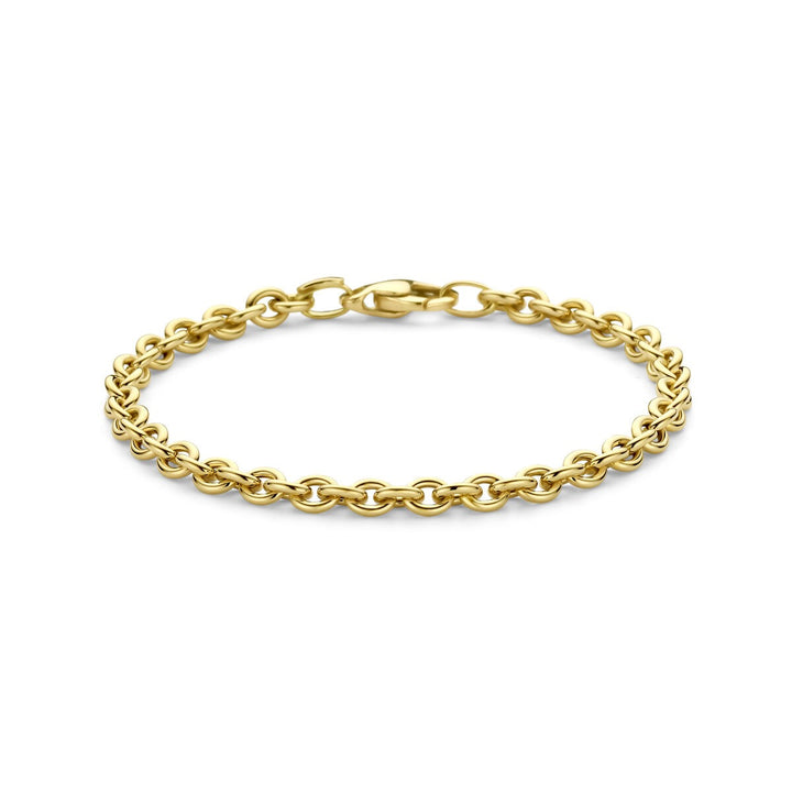 14k Geelgouden Schakel Armband Anker