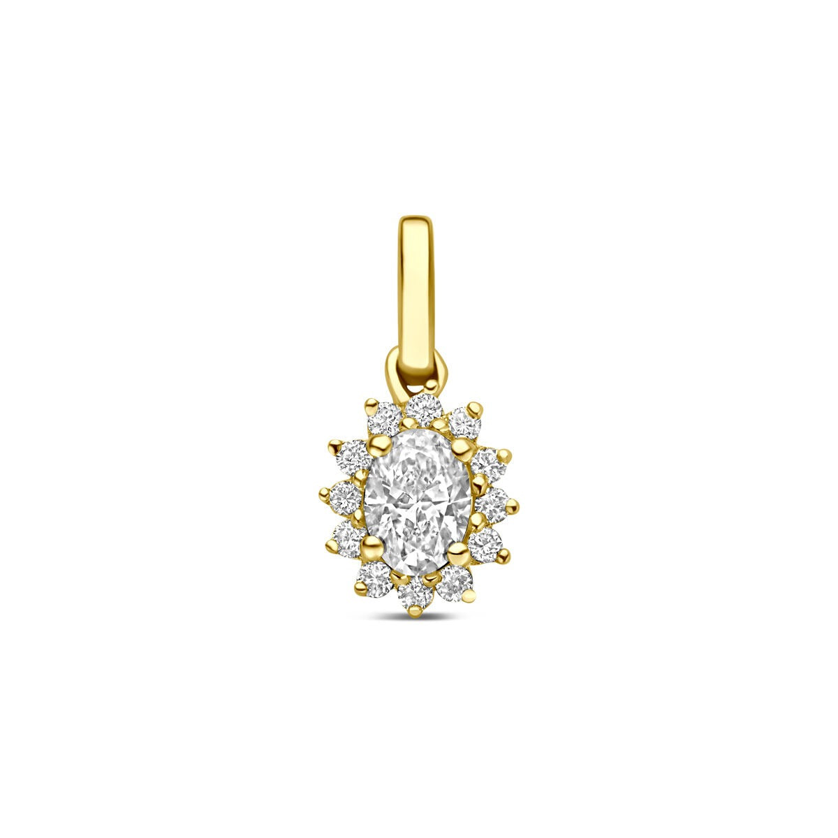 Geelgouden hanger met een lab grown diamant van 0,21 ct, omringd door kleinere steentjes in een bloemvormige zetting.