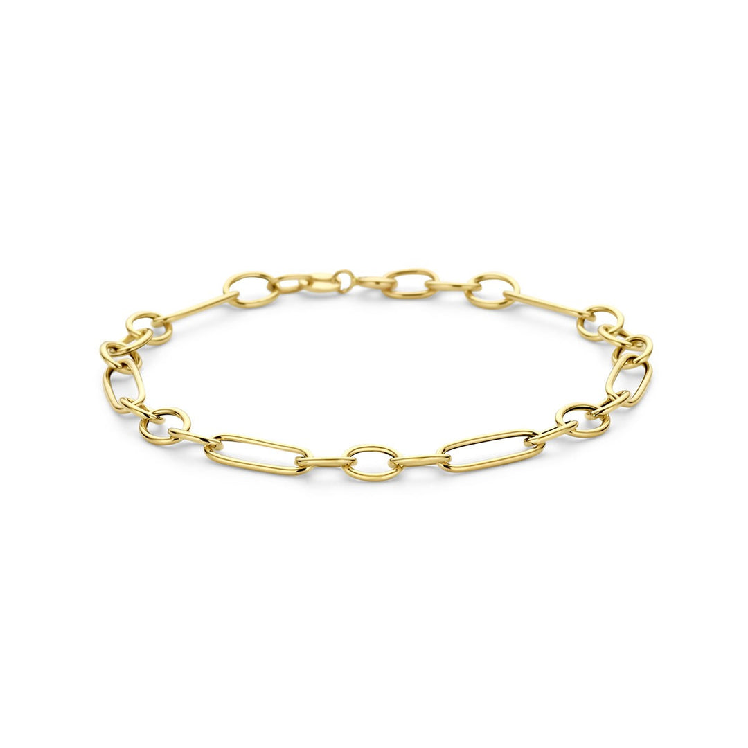 14k Geelgouden Schakel Armband Anker
