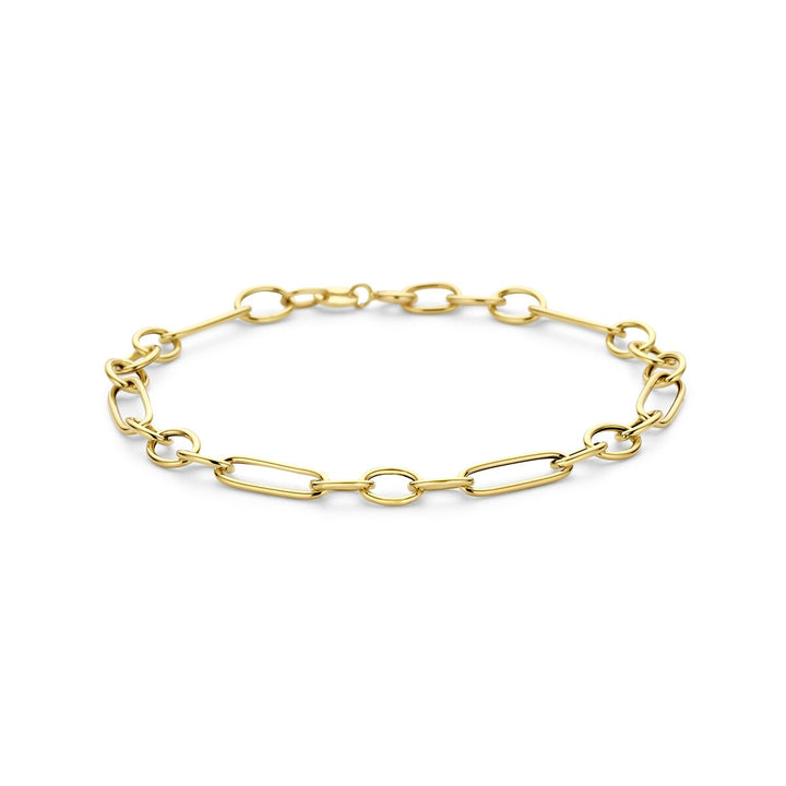 14k Geelgouden Schakel Armband Anker