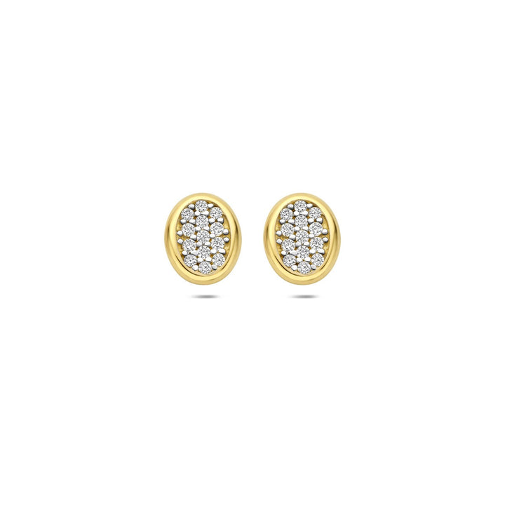 14k Geelgouden oorknopjes met zirkonia