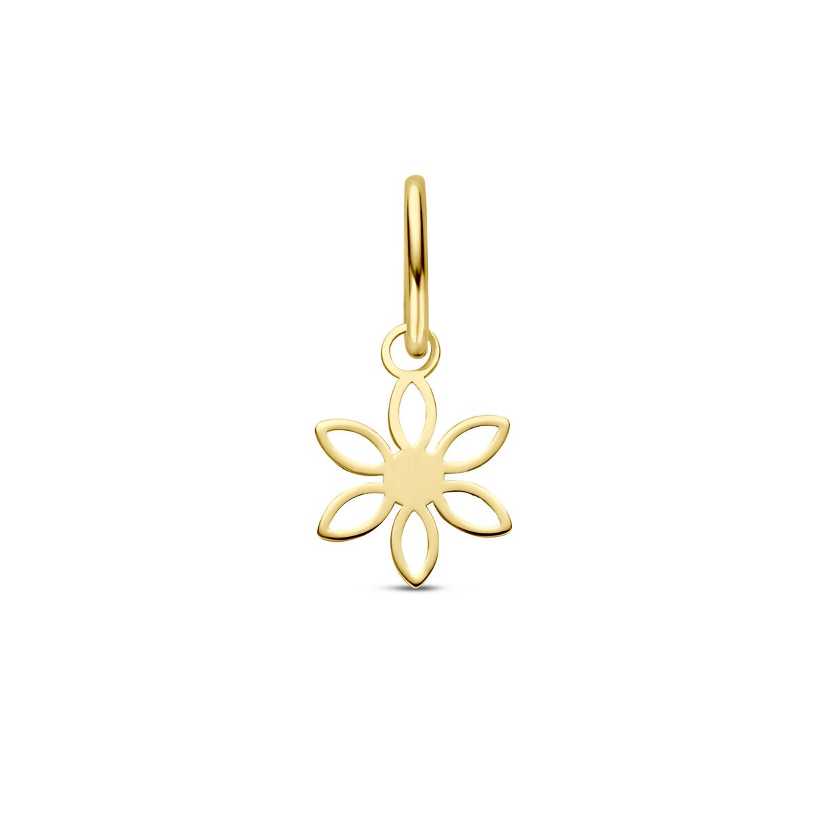 14k geelgouden hanger in de vorm van een bloem met zes bloemblaadjes.