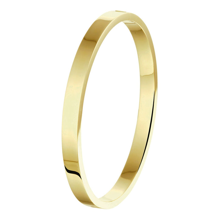 14k Geelgouden bangle met zilveren kern