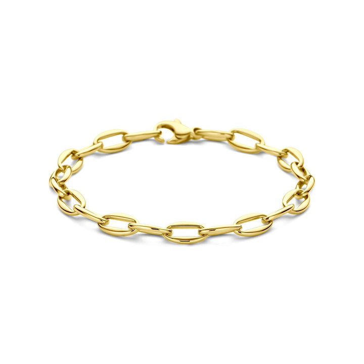 14k Geelgouden anker schakel armband dames