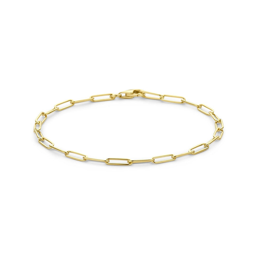 14k Geelgouden Schakel Armband Anker