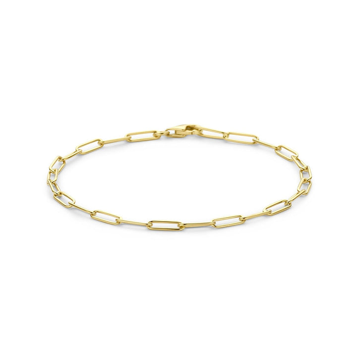 14k Geelgouden Schakel Armband Anker