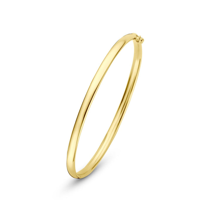 14k Geelgouden Silgold Bangle 4 mm Dames