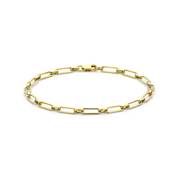 14k geelgouden anker schakelarmband – dames armband