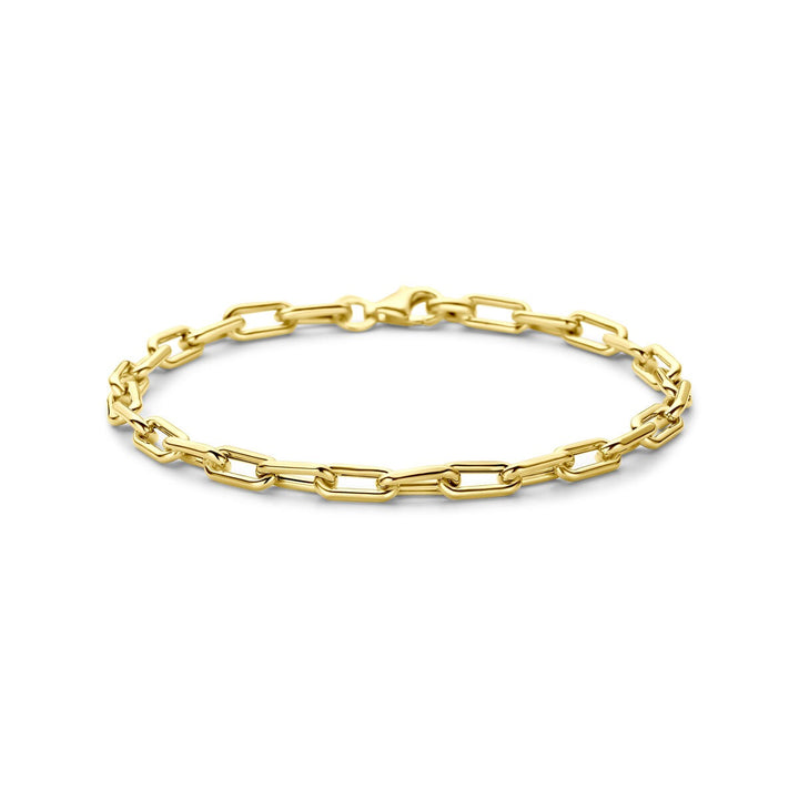 14k Geelgouden anker armband
