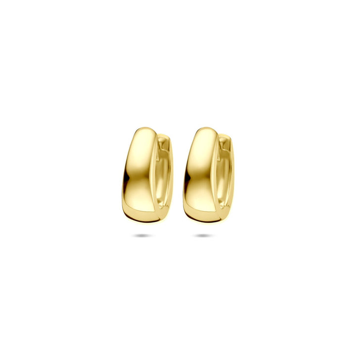 9k Geelgoudkleurige klapoorringen – compact en klassiek