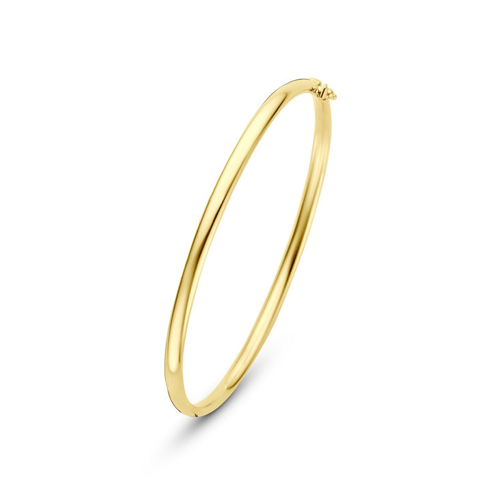 14k Geelgouden Silgold Bangle Dames