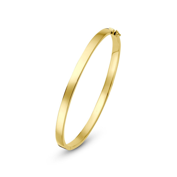 9k Geelgouden bangle armband met zilveren kern