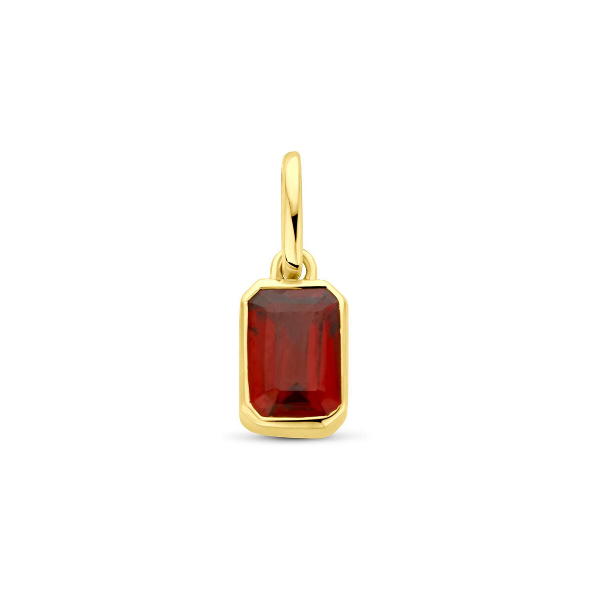 Hanger met een 12 mm granaat in een 14K geelgouden zetting.