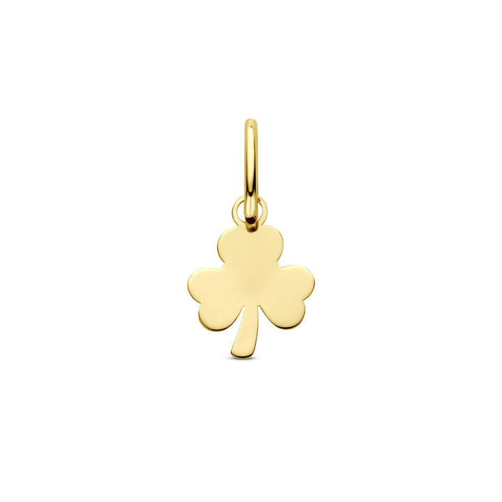 14k Geelgouden Ketting met Hanger Klaver