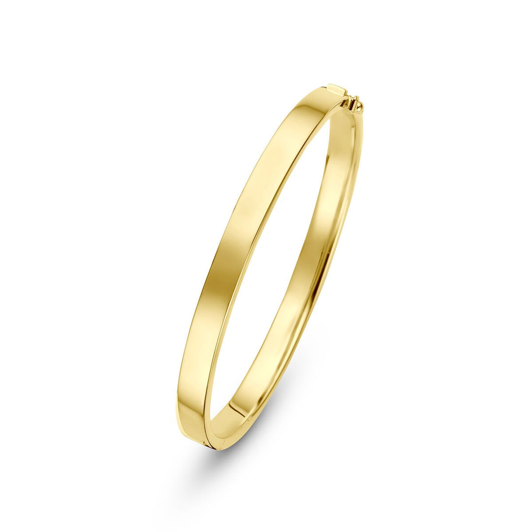 14k Geelgouden Silgold Bangle 6 mm Dames