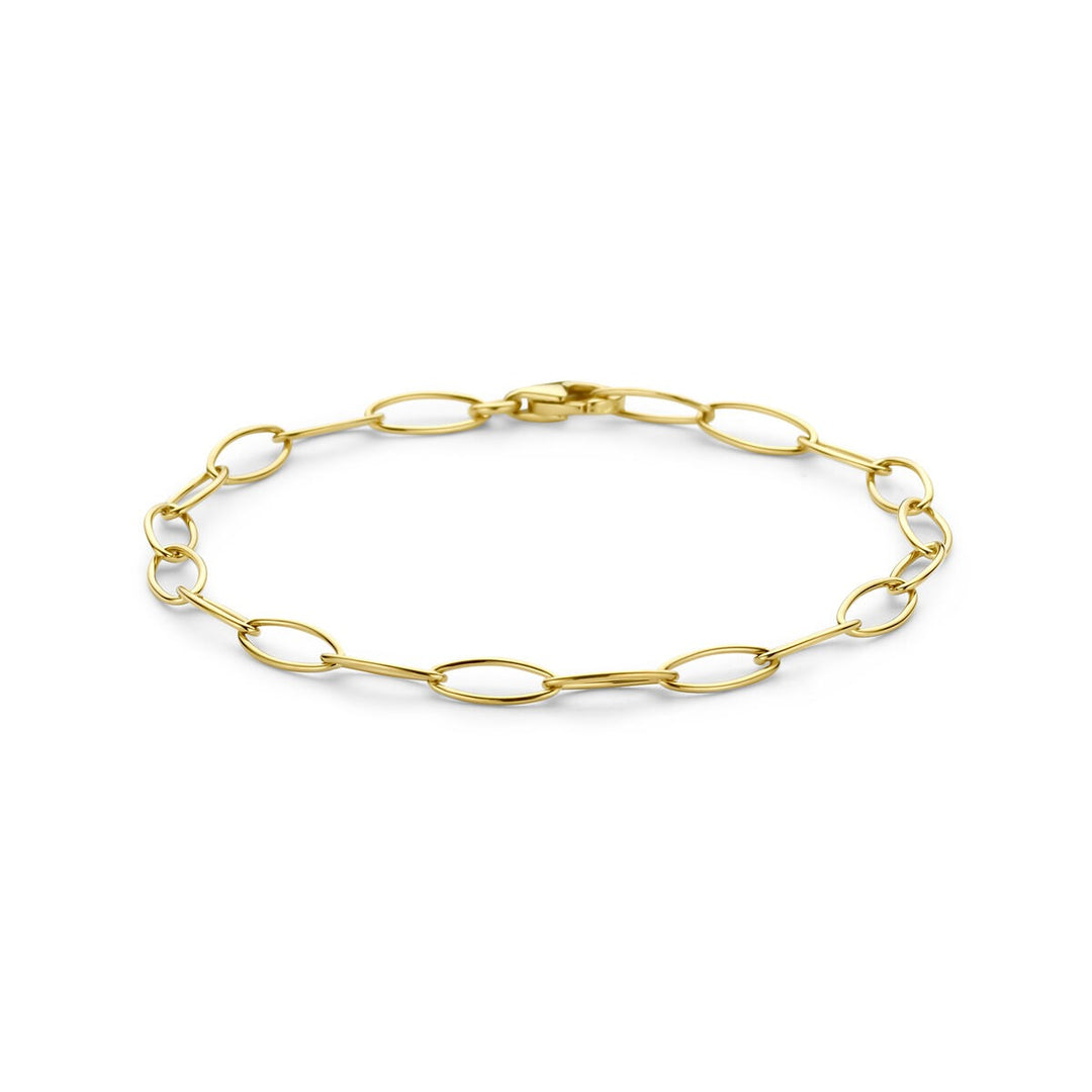 14k Geelgouden Schakel Armband Anker