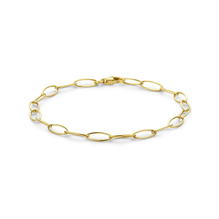 14k Geelgouden Schakel Armband Anker