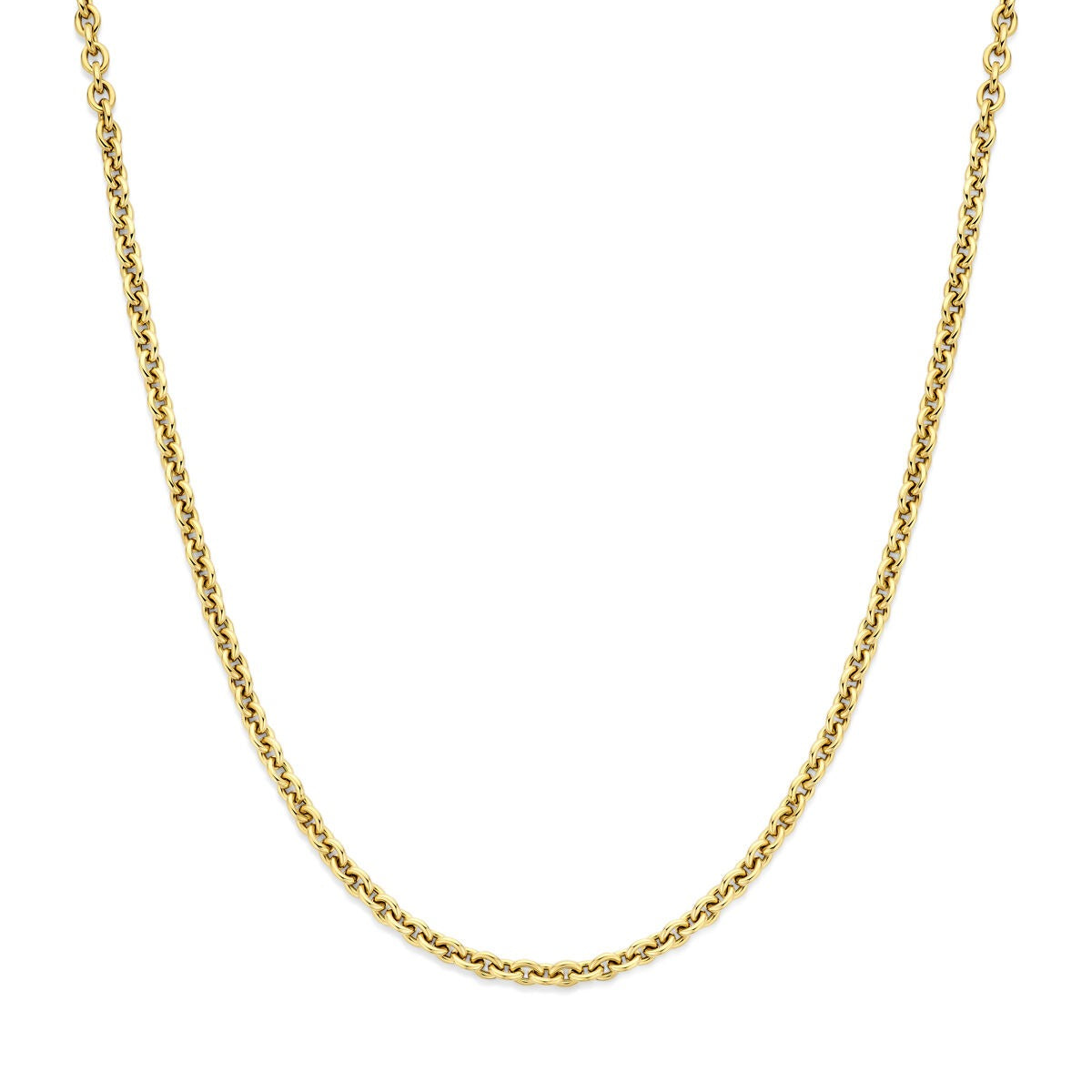 14k geelgouden collier met ankerschakels, glanzende afwerking en een subtiele, verfijnde uitstraling.