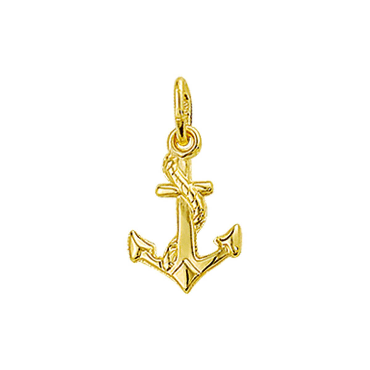 Geelgouden anker hanger van 9k met een gedetailleerde afwerking en een formaat van 13,5 mm.