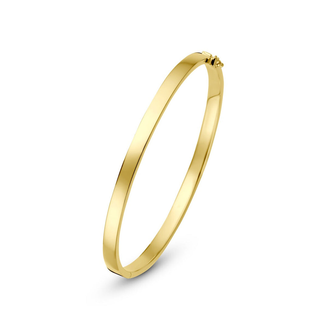 14k Geelgouden Silgold Bangle Dames