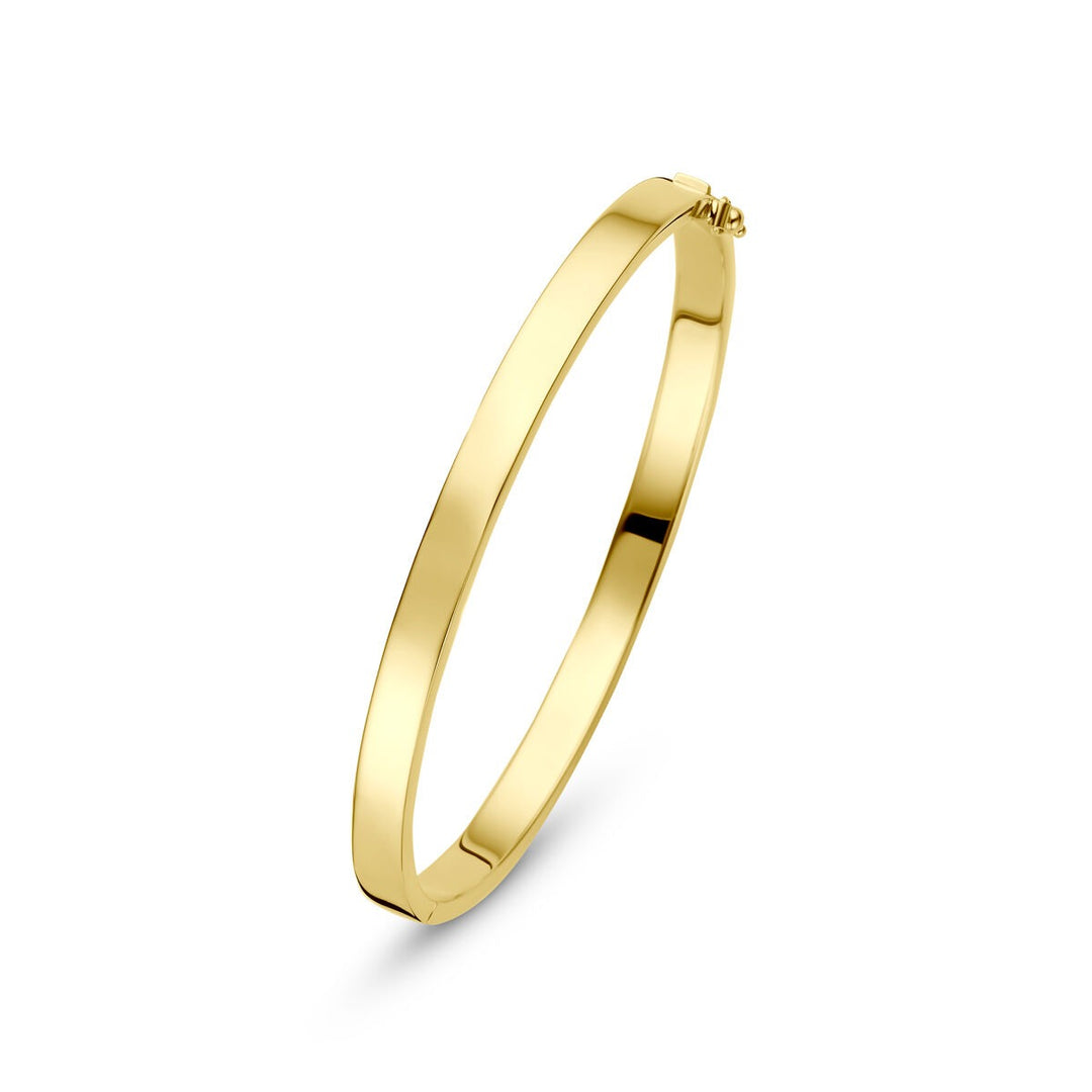9k Geelgouden bangle armband met zilveren kern
